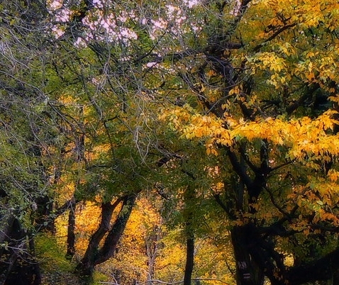 河北承德生活怎么样
