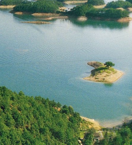 茂名粉象生活合伙人