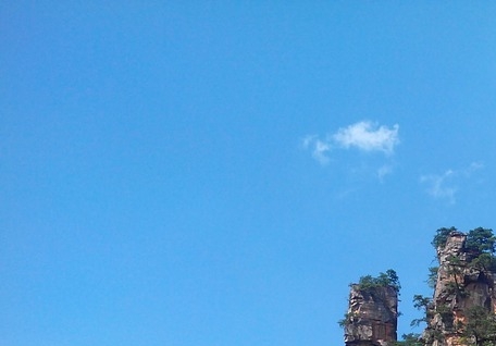 粉象生活优惠券是怎么来的