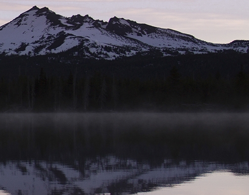汕尾粉象生活积分