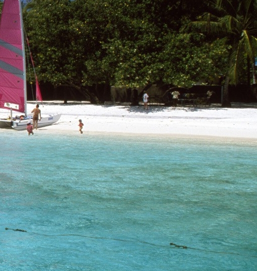 最新版粉象生活app下载安装