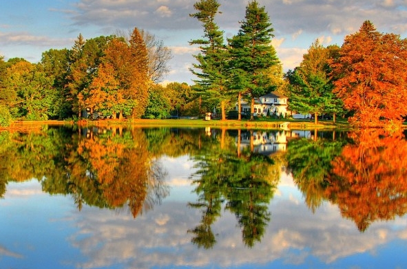 官方回应粉象生活