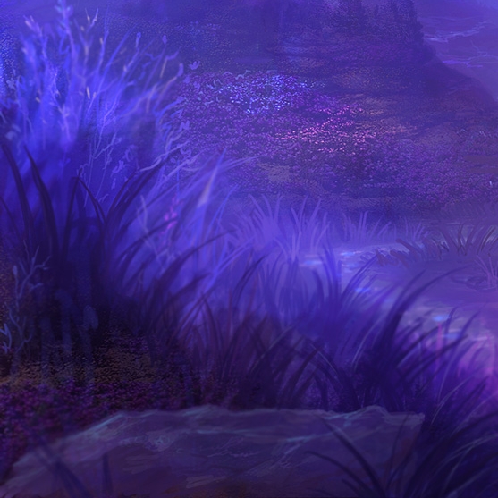 粉象生活推广营销