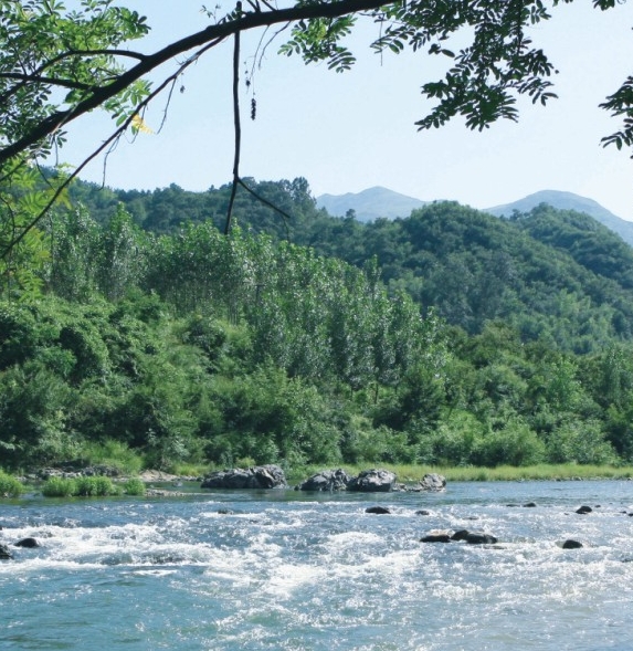 福建加盟粉象生活怎么赚钱