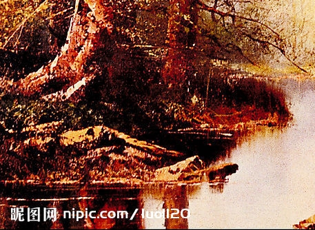 粉象生活