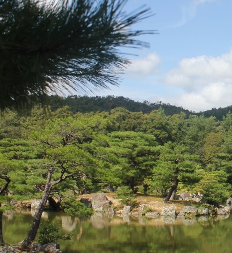 汕尾粉象生活可信吗