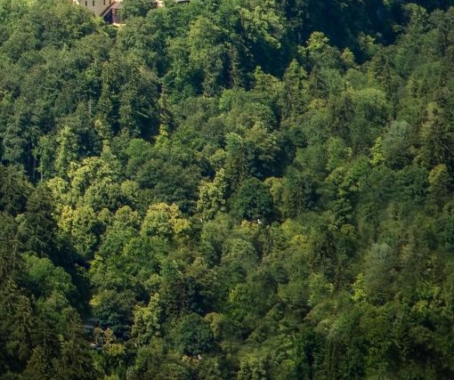 粉象生活怎么赚钱的