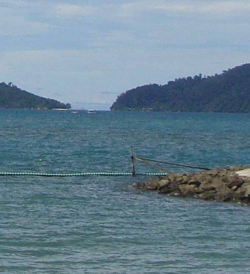 怎样找到粉象生活