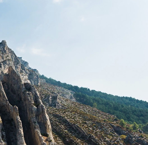 粉象生活官网app下载安装