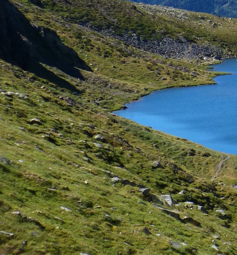 粉象生活100积分多少钱