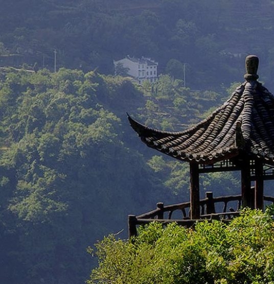 珠海粉象生活如何使用