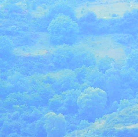 粉象生活官网