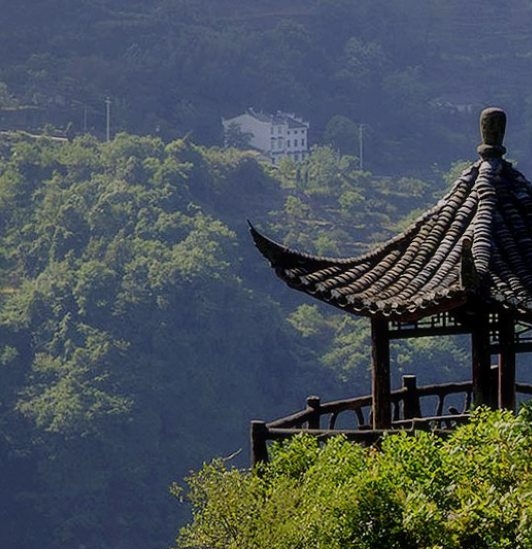 口服vc小红书种草