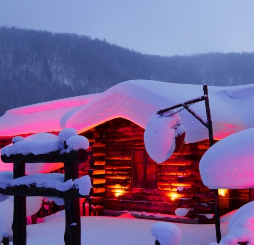 茂名粉象生活代理