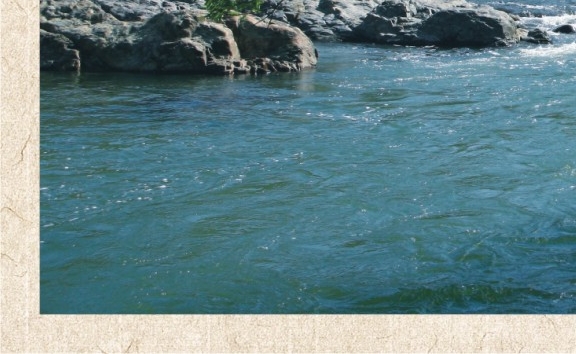 曹操的粉象生活