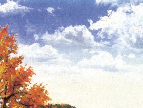 山东正规粉象生活怎么赚钱