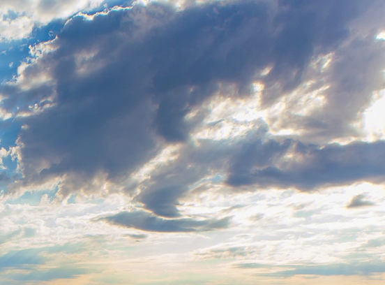 揭阳粉象生活推广