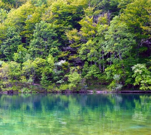 粉象生活工作怎么样