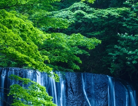 粉象生活是骗人的吗