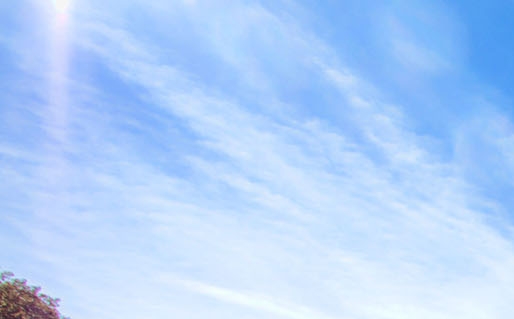 悦拜什么时候出来的