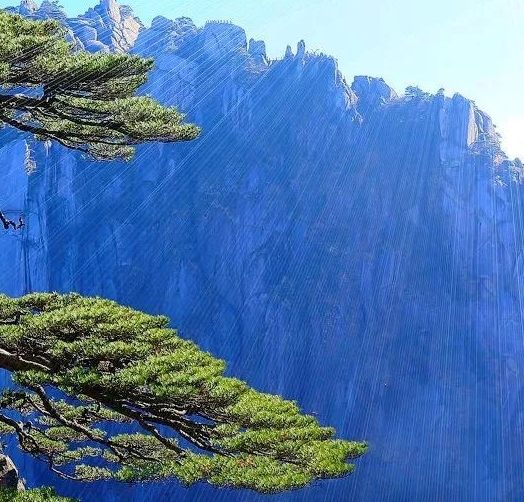 粉象生活商家端在哪