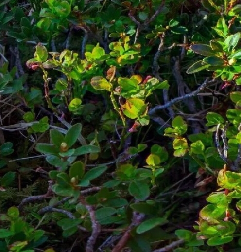 温州选择粉象生活可靠吗