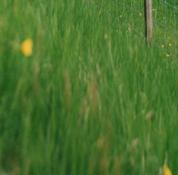 营口粉象生活app