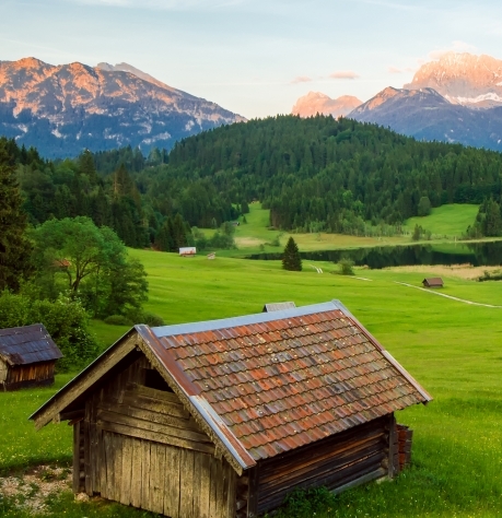粉象生活官网首页