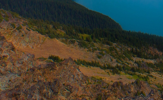 粉象生活登录注册