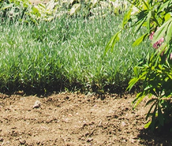 官方粉象生活加盟粉象生活