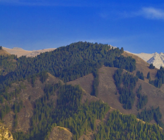 如何在粉象生活里找到账单