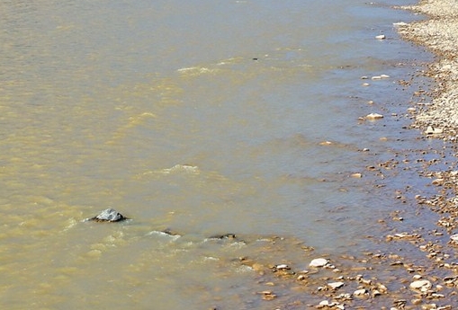 粉象生活未结算收益怎么提现