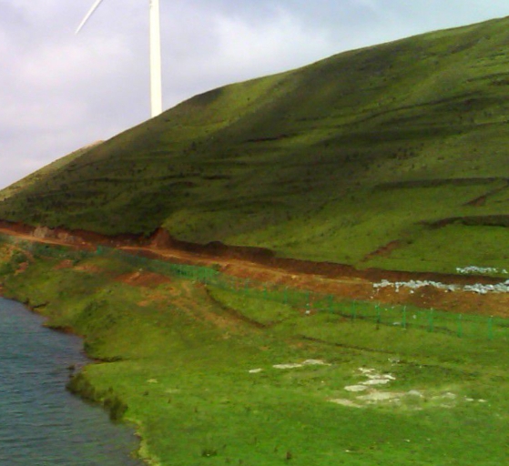 粉象生活的返利