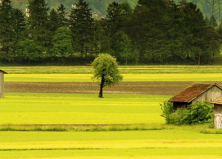粉象平台靠谱吗