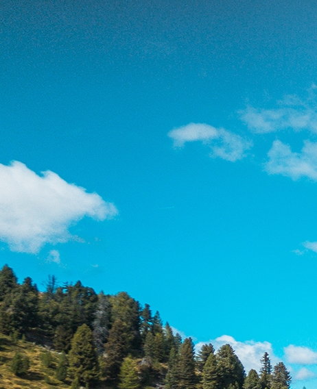 粉象生活pk未来集市粉象生活