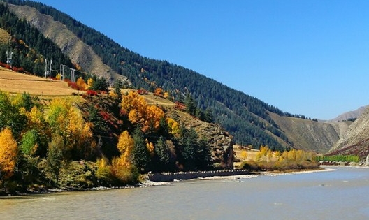 粉象生活怎么赚钱的