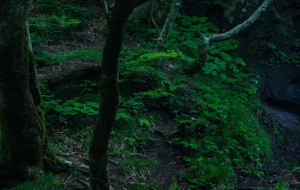 粉象生活员工招聘