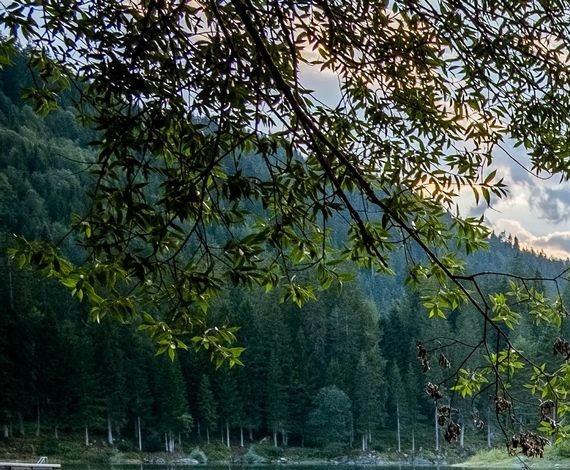 粉象生活如何找微信好友