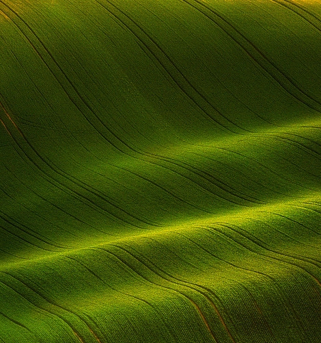 粉象生活如何开通购物袋