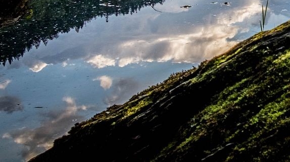 湛江粉象生活推广