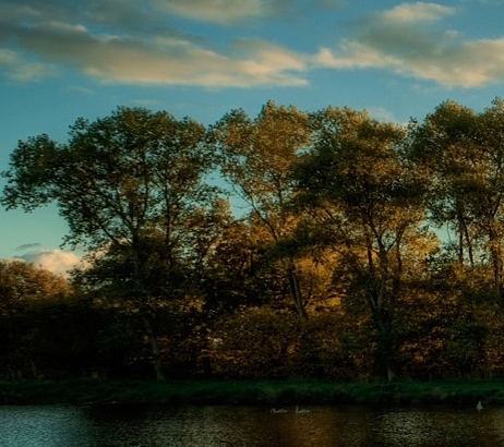 菏泽市编办官方网站