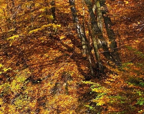 潮州粉象生活赚钱