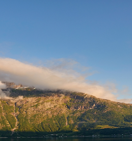 榆树粉象生活推广