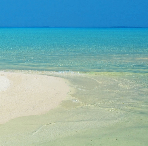 粉象生活好还是极速版好