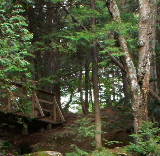 粉象传媒有限公司