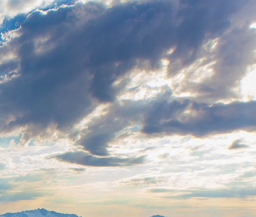 粉象生活邀请人