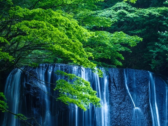 粉象生活淘宝直播