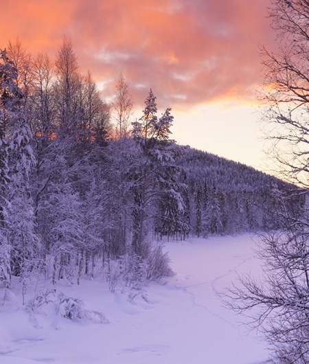 安徽粉象生活图片