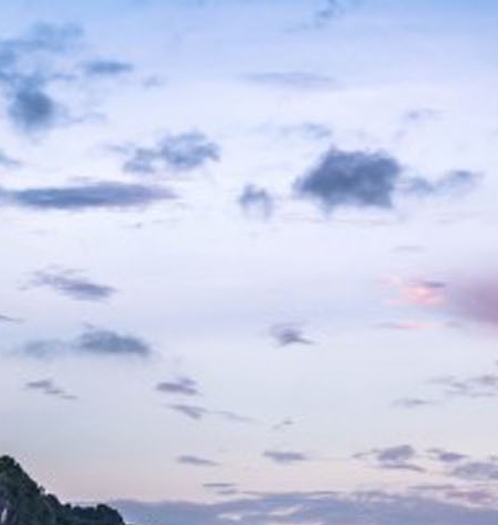 粉象生活购物红包在哪里