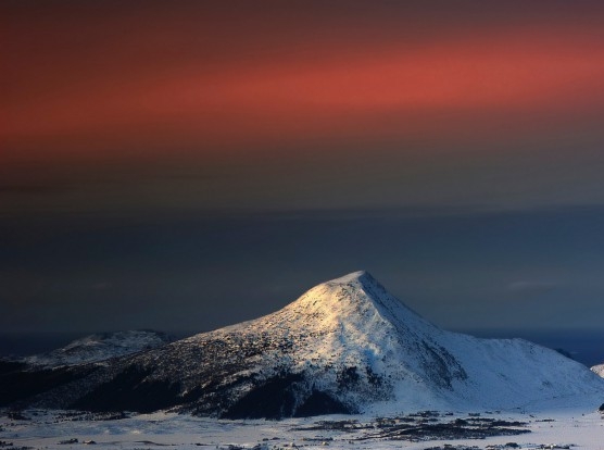 粉象生活开店后怎么加粉丝